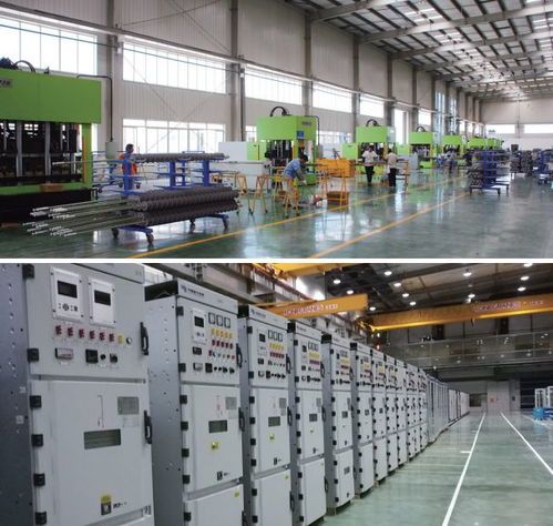 電氣時(shí)代網(wǎng) 人物訪(fǎng)談